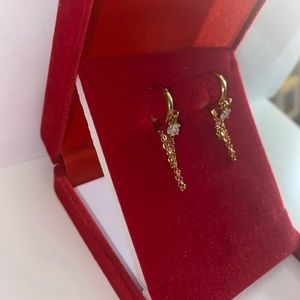 Stainless Steel Gold earrings